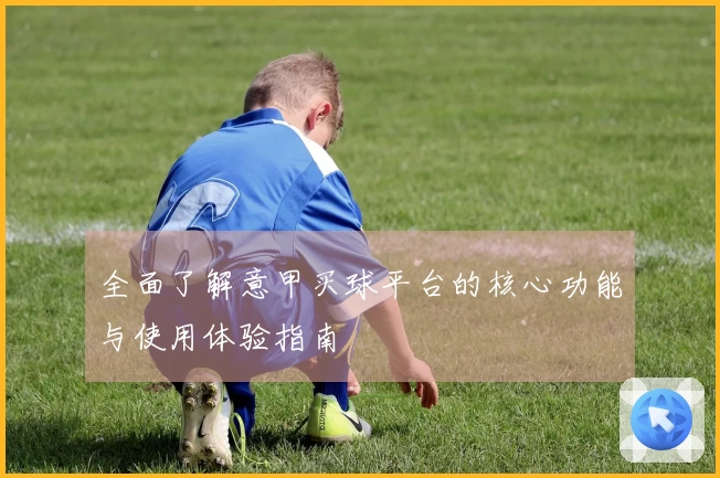 全面了解意甲买球平台的核心功能与使用体验指南