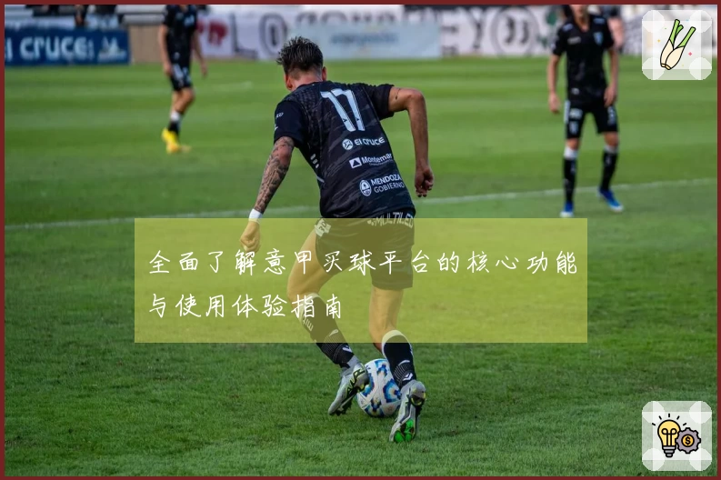 全面了解意甲买球平台的核心功能与使用体验指南