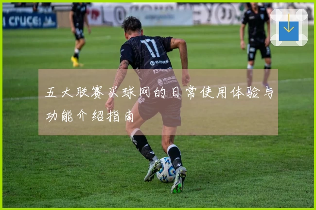 五大联赛买球网的日常使用体验与功能介绍指南